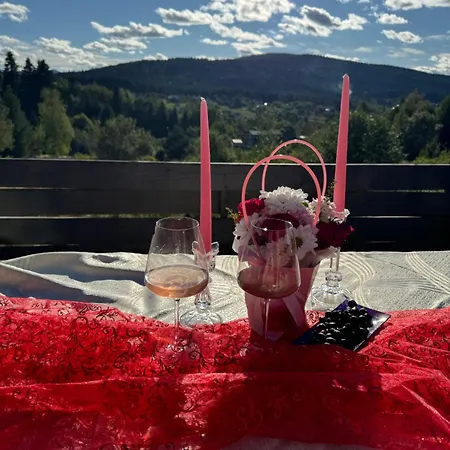 Panorama Belvedere Carpaty Villa Skhidnytsia