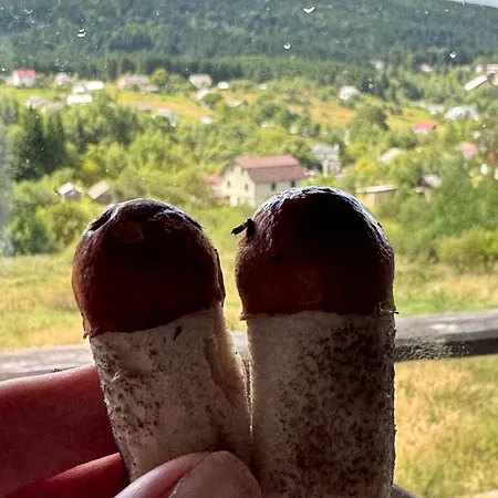 Panorama Belvedere Carpaty Вилла